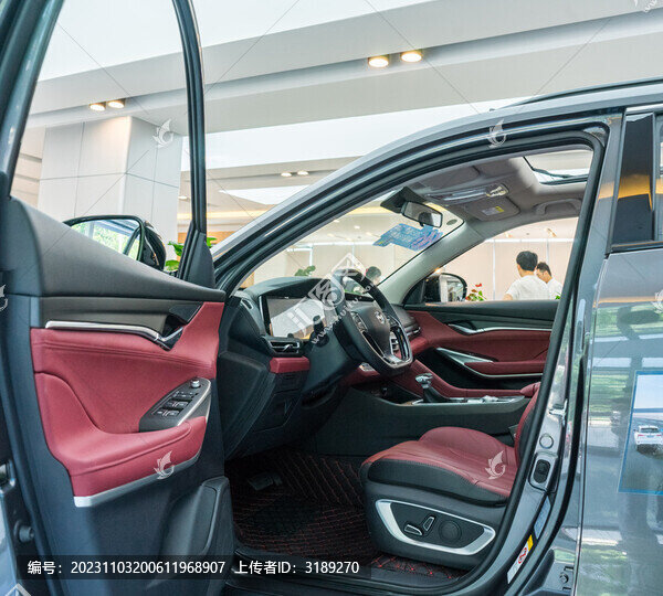 打開汽車車門