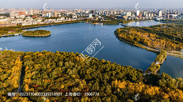 秋季的長春南湖公園森林景觀