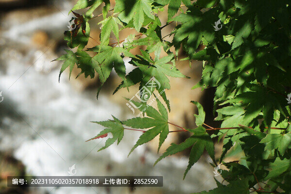 水邊
