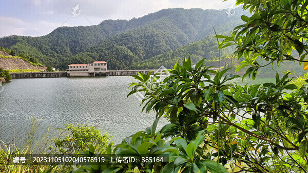 水庫一角