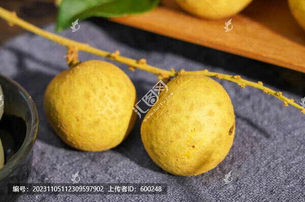 桂圓