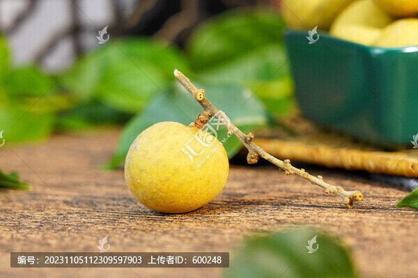 桂圓