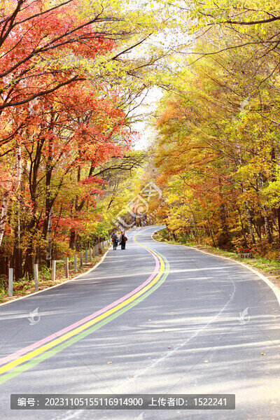 山林公路