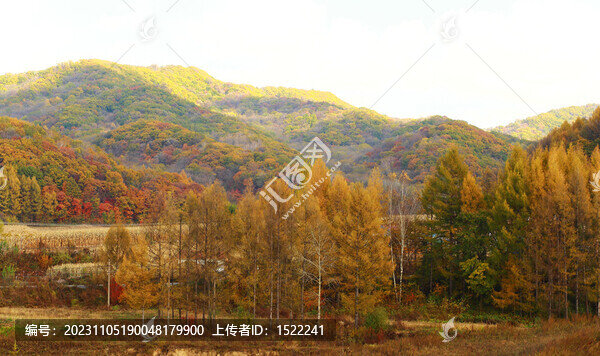 東北的紅葉谷