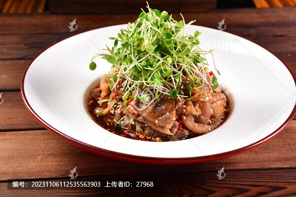 肥牛香椿苗