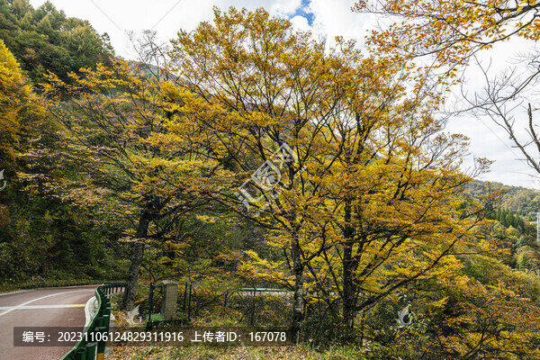 神農(nóng)架秋色