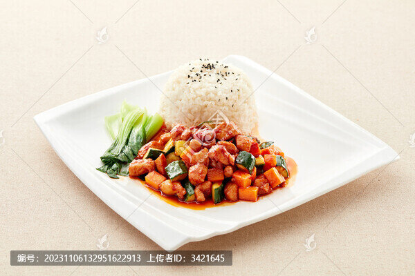 宮保雞丁蓋飯
