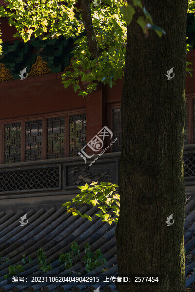 杭州靈隱寺