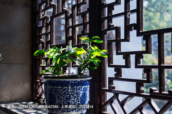 蘇州留園