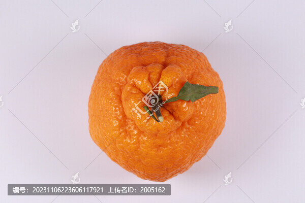 丑橘子俯視