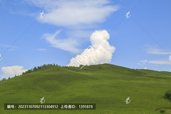 額爾古納濕地景區(qū)