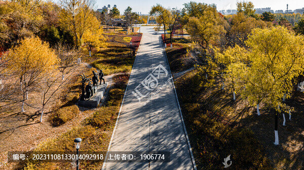 長(zhǎng)春世界雕塑公園秋季樹(shù)木景觀