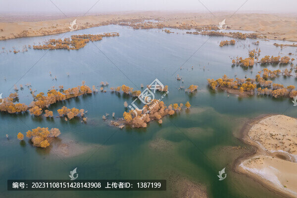 新疆尉犁縣葫蘆島沙漠胡楊林