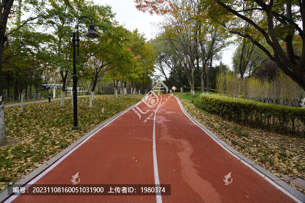 城陽奧林匹克公園世紀公園健身路