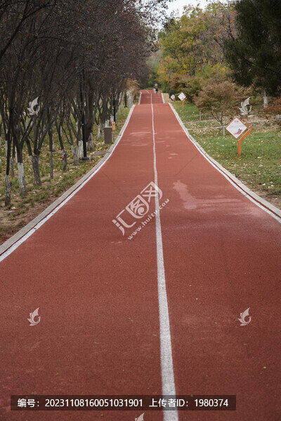 城陽奧林匹克公園世紀公園健身路