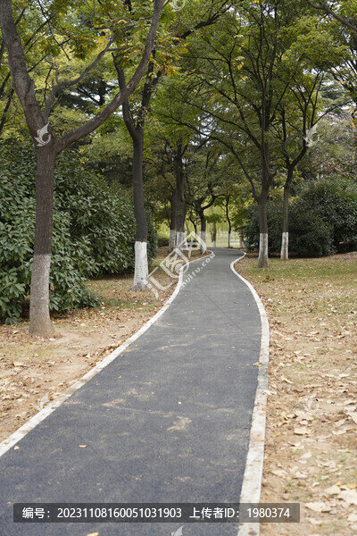 城陽(yáng)奧林匹克公園世紀(jì)公園健身路