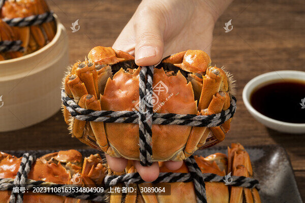大閘蟹特寫