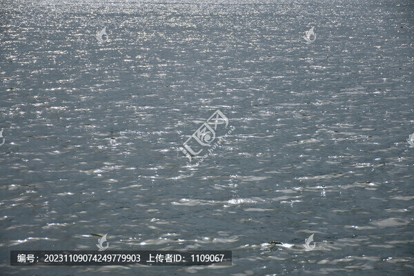 波光粼粼的水面