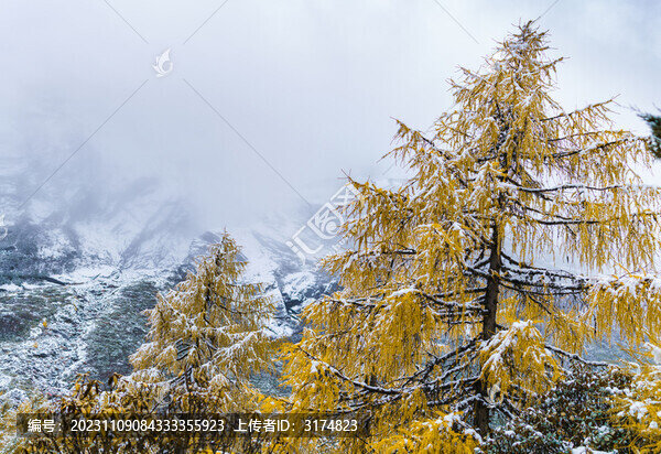畢棚溝雪山