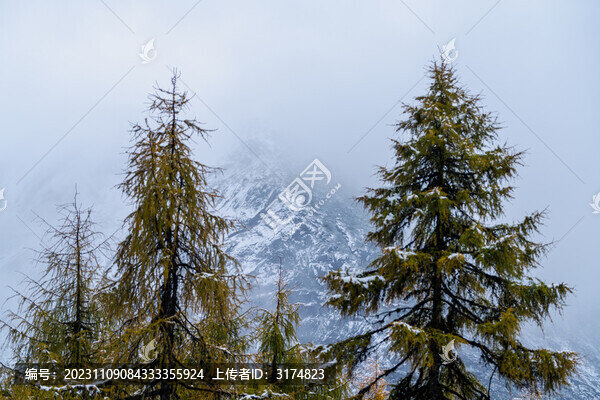 畢棚溝雪山