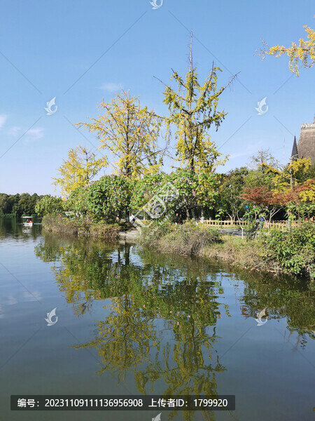 南湖風(fēng)景