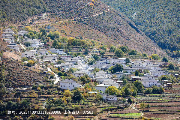 美麗鄉(xiāng)村
