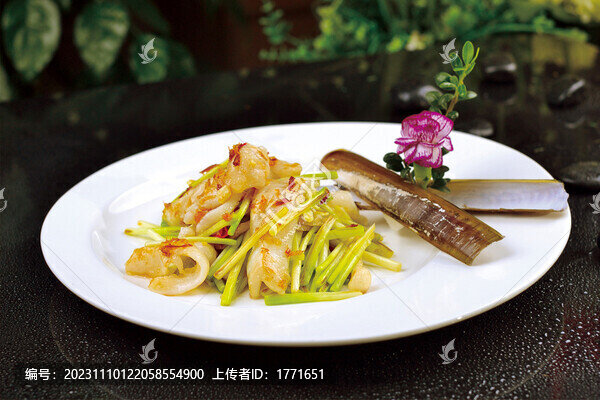 XO醬爆圣子皇