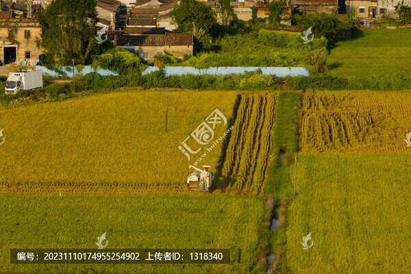 航拍汕尾可塘稻田畫稻谷豐收割機