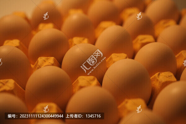 農(nóng)家土雞蛋暗調(diào)暖色氛圍靜物