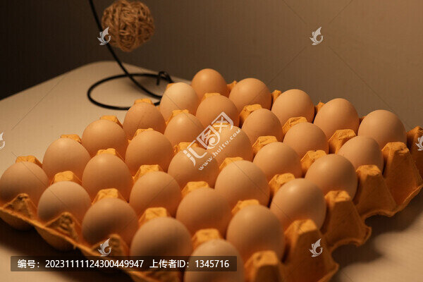 農(nóng)家土雞蛋暗調(diào)暖色氛圍靜物