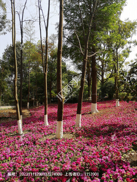 植物園