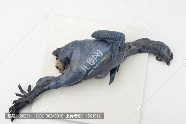 生鮮烏雞