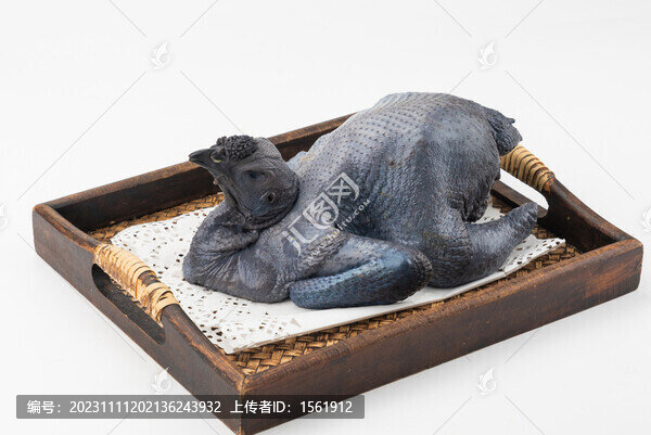 生鮮烏雞