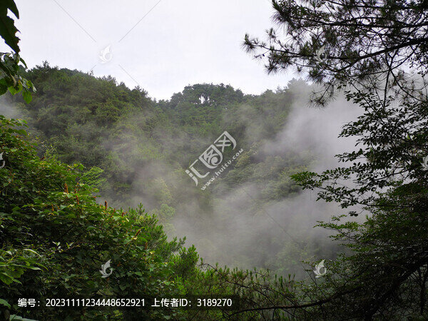 古劍山森林