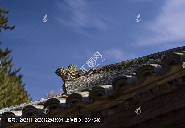 五臺(tái)山佛光寺