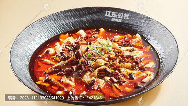 肥腸魚(yú)