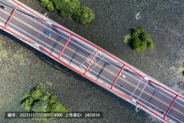 深圳洪湖公園彩虹橋航拍頂視圖
