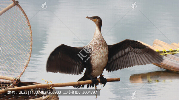 桂林陽朔