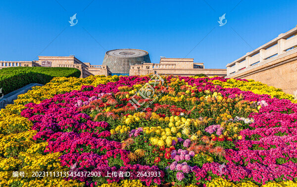 陜西寶雞第十四屆菊展