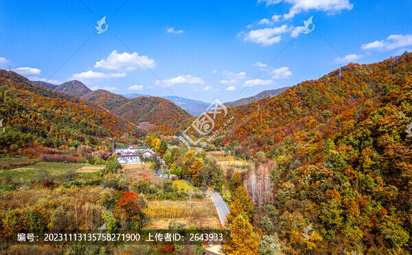陜西漢中最美鄉(xiāng)村公路高江路秋景