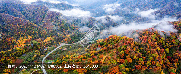 陜西秦嶺秋色秋景