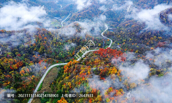 陜西秦嶺秋色秋景