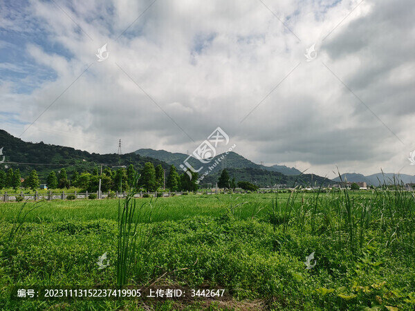 風(fēng)景