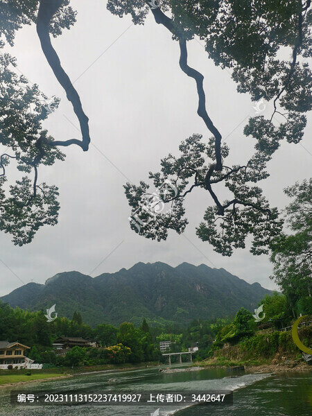 自然生態(tài)