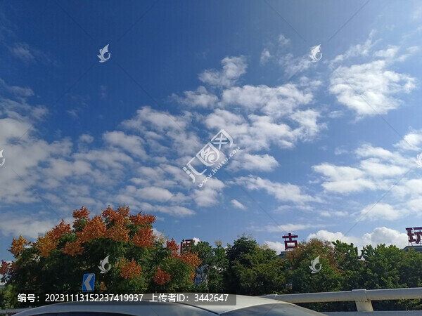 城市風(fēng)景
