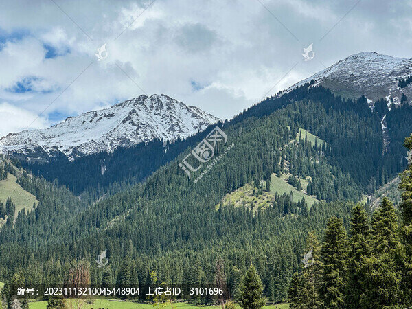 森林雪山