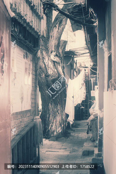 北京胡同記憶