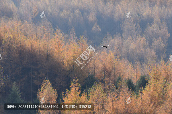 美姑縣索瑪花景區(qū)風(fēng)光