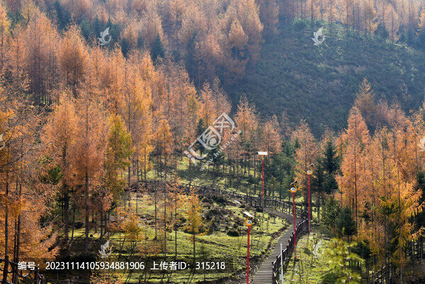 美姑縣索瑪花景區(qū)風(fēng)光