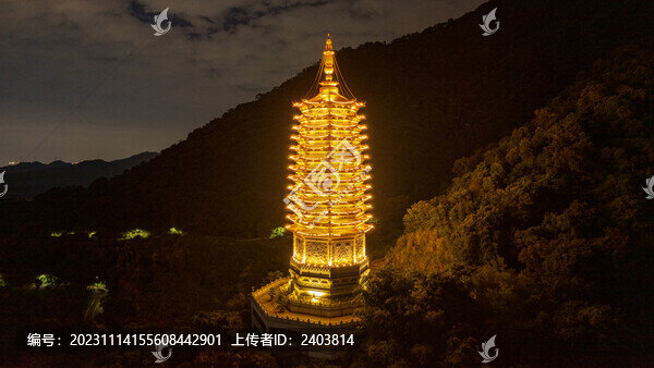 仙湖植物園寶塔夜景